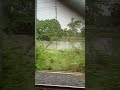 lovely view ☺️ #youtubeshorts #bangaliblog #banglavlo