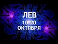 ЛЕВ. Таро прогноз на 10-20 октября 2021.