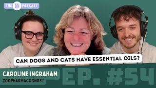 CAN DOGS & CATS HAVE ESSENTIAL OILS? The BK Petcast w/ Caroline Ingram (APPLIED ZOOPHARMACOGNOSY)