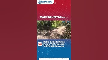 Bij een vuurgevecht tussen de Indonesische nationale strijdkrachten (TNI) en de Vrije Papoea Beweging (OPM) in Intan Jaya kwamen 14 OPM-leden om het leven.