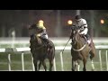 RM 47 Al Rayyan Race 8 - Ain Khaled Cup