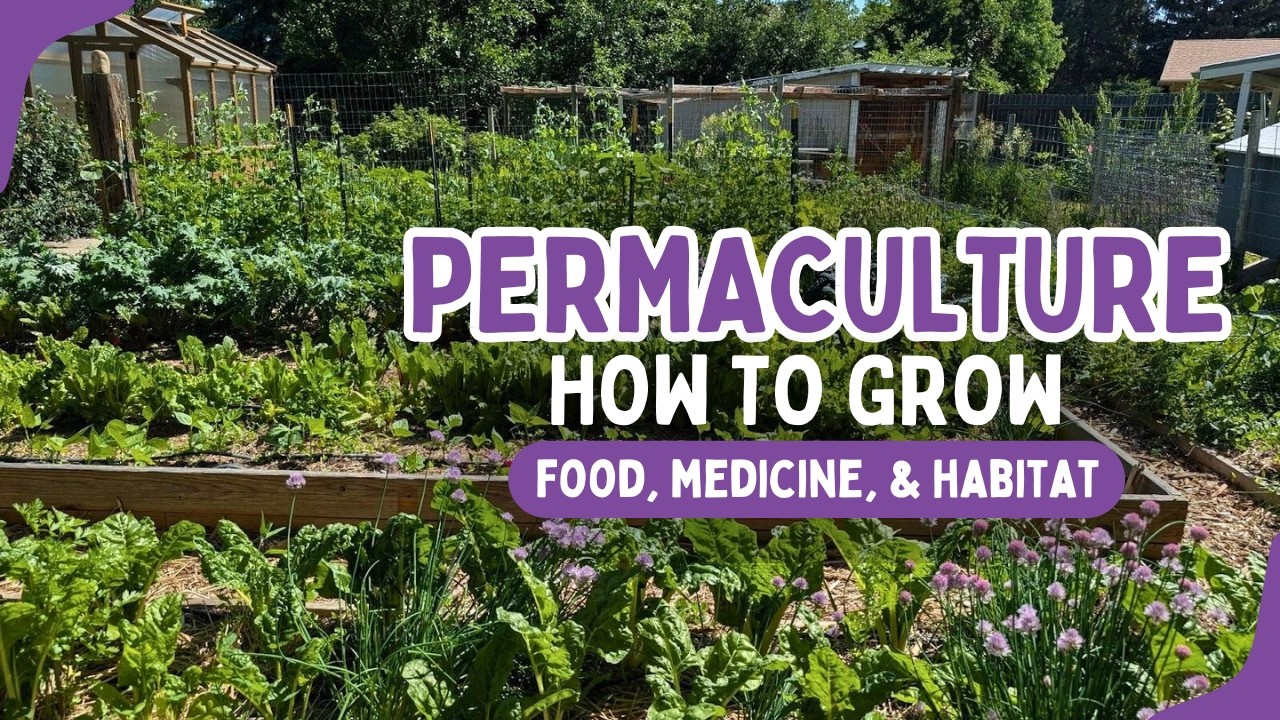 Permaculture: Using Ecology to Design Self-Renewing Landscapes