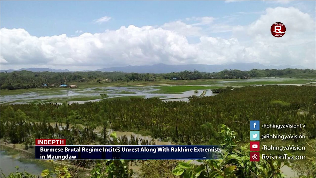 Weekly English News 30 June 2017