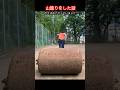 【武道・武術】高校生の時に山籠りをして死にかけた話！紹介！！　#aikido ＃karate #martial #武道 #空手＃合気道＃筋トレ#selfdefens