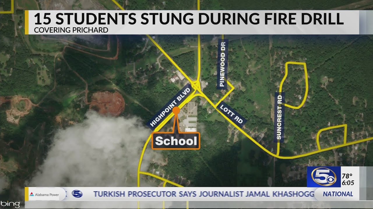 15 students stung in bee attack