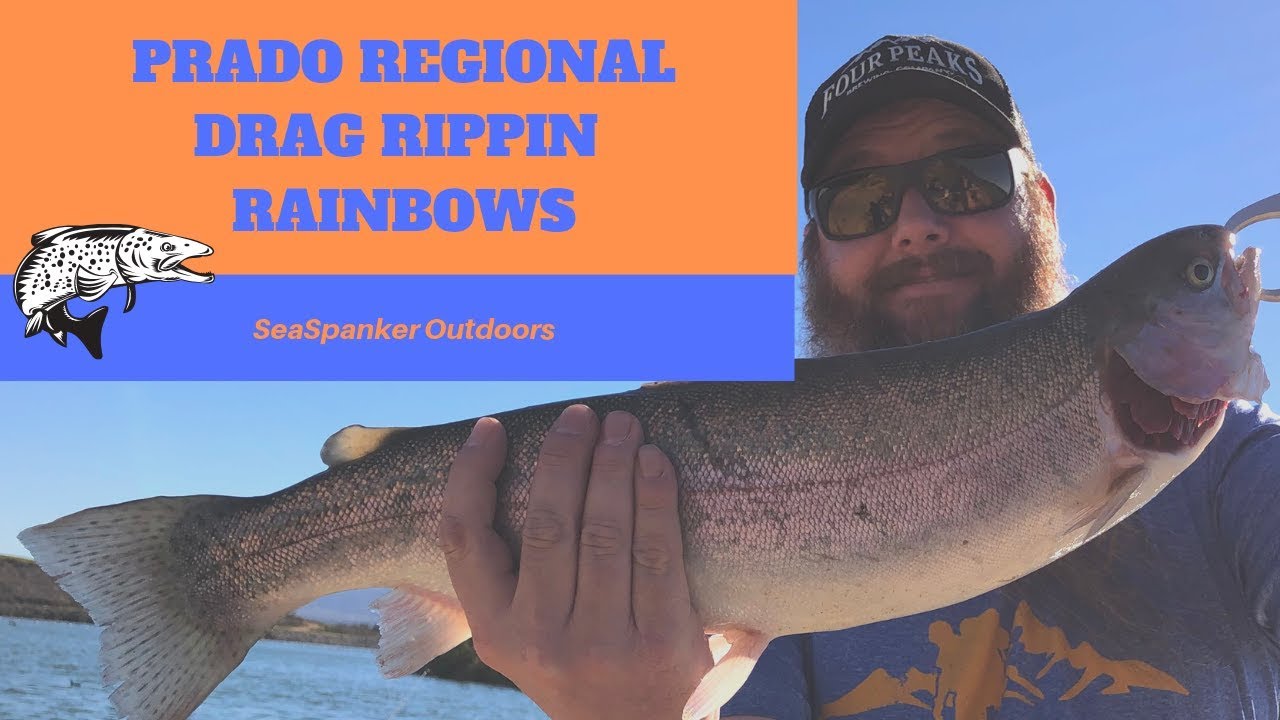 Prado Regional Drag Rippin Rainbows YouTube
