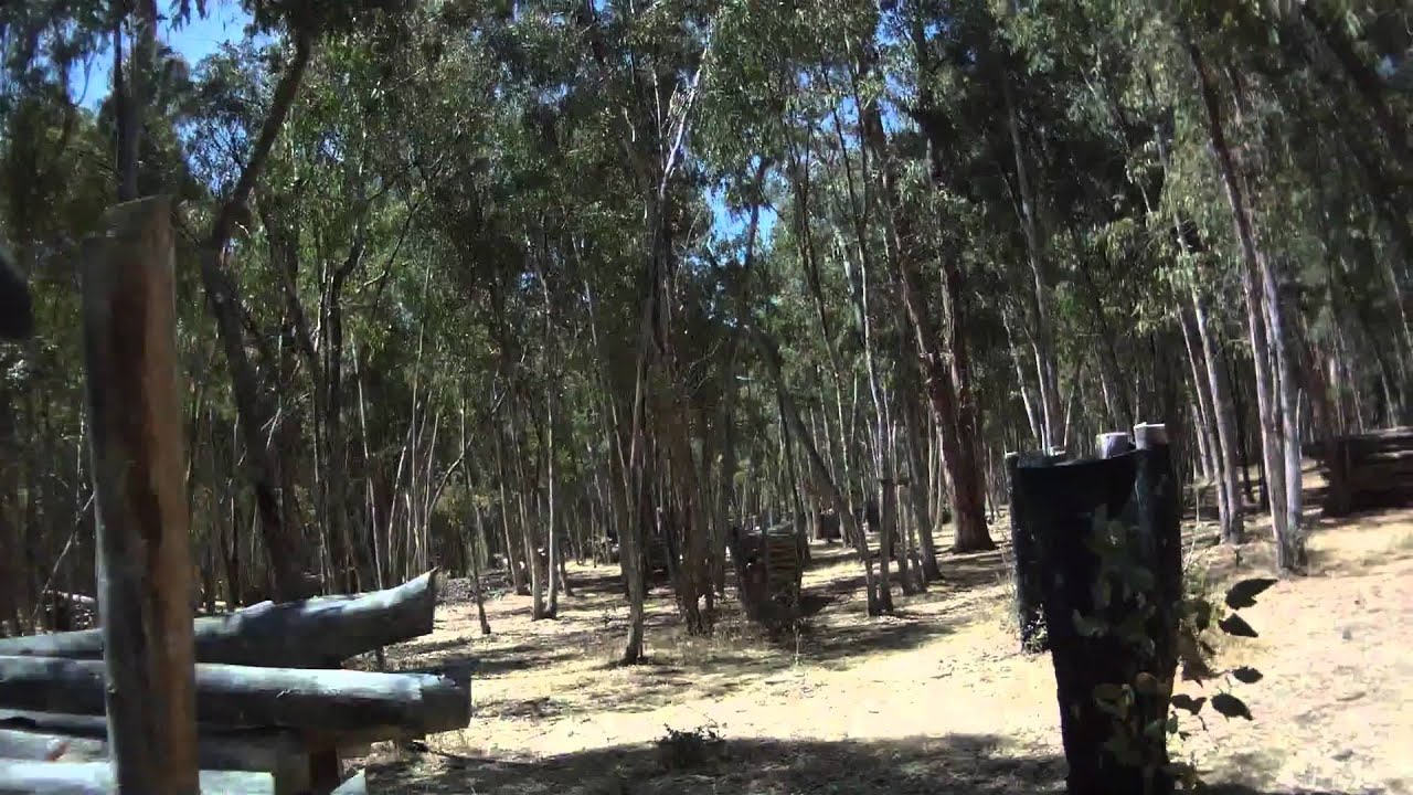 Paintball Jungle 82110 C Beezwax 2.MOV YouTube