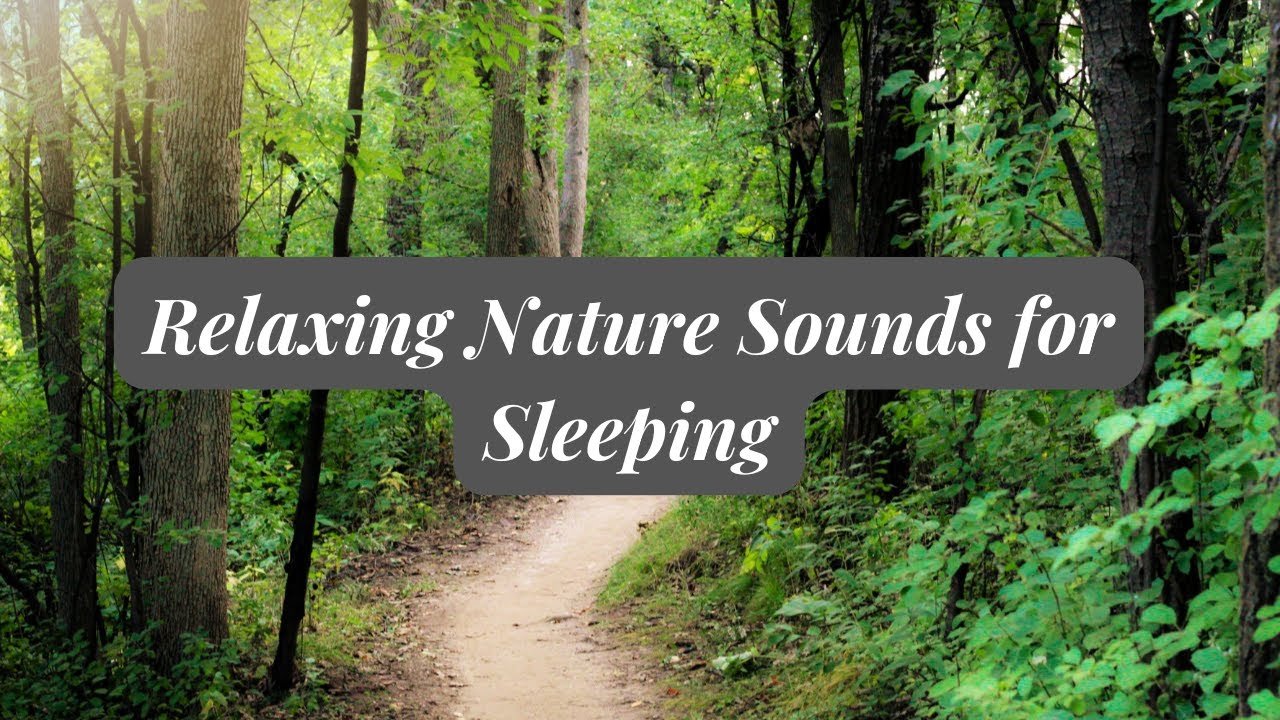 Calming Effects Relaxing Nature Sounds for Sleeping - Natural Calm Forest Waterfall ...