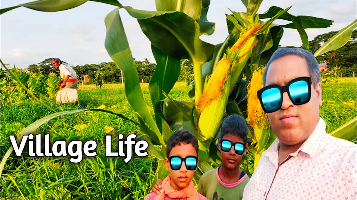 Village Life in Lockdown l Gouranga nayak Odia vlogs