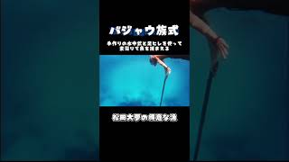 バジャウ族式の手作り装備が1番好き