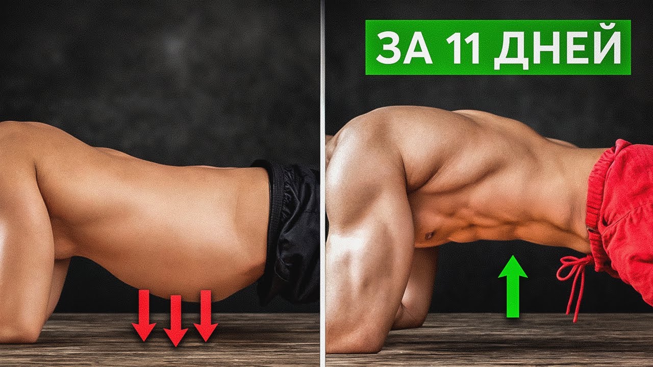 �������� �������: ����.