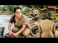 नदी के किनारे Purvi के साथ हुआ छेड़छाड़, CID Team शॉक्ड ! | CID | Latest Episode 2026