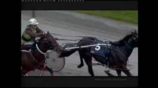 McArdle 2009 McArdle 2009