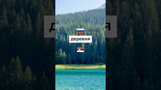 Учим сербский каждый день. Упражнения и викторины на сербском языке. #учимсербский #сербскийязык