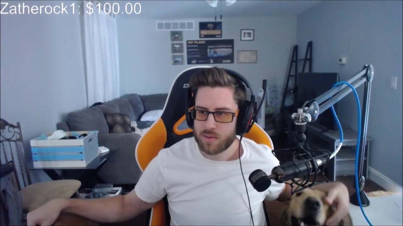 собака стример. стрим с собакой. лицо пса стримера. собака стример. твич собака.