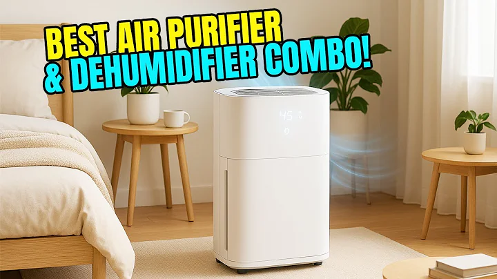 Top 5 Best Dehumidifier Air Purifier Combo for Clean, Dry Air!"🔥