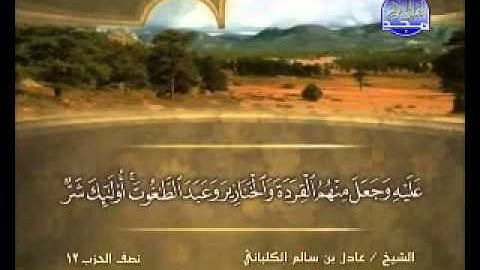 سورة المائدة الشيخ عادل الكلباني   YouTube