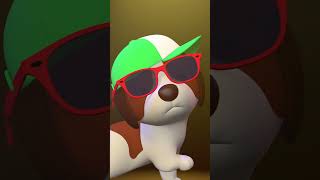 Puppy Fashion Show! 📸😎 | Leo the Wildlife Ranger | #shorts #animals #fun