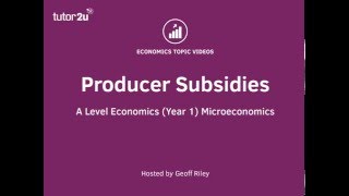 Producer Subsidies I A Level and IB Economics
