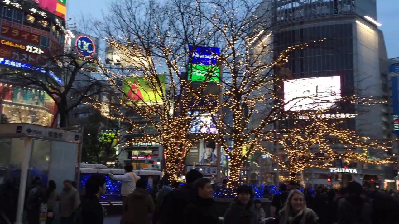 Japan Trip (Jan-Feb 2016) - Part 2: Shibuya, Akihabara & More Harajuku
