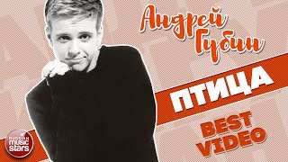 Смотреть клип Андрей Губин - Птица