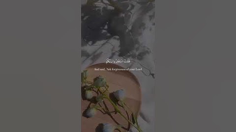حالات واتس قرآن| القارئ أحمد خضر
