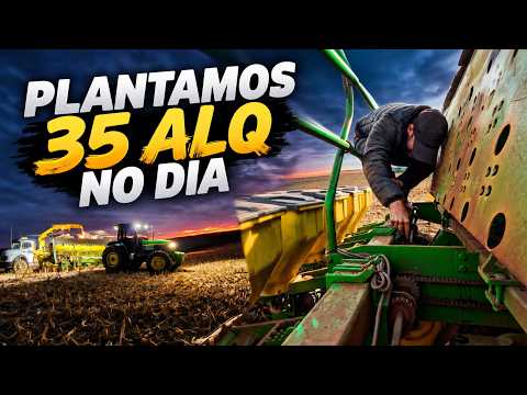 BACK TO PLANTING AFTER THE RAIN | GETTING TO WORK