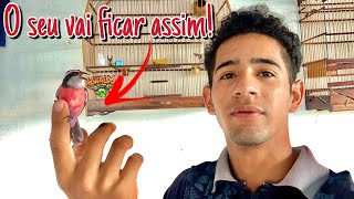Download Lagu 🔥 Sibite 🔞 COMO DEIXAR O SIBITE VERMELHO OU LARANJA ! 🔴 MP3 Download Lagu 🔥 Sibite 🔞 COMO DEIXAR O SIBITE VERMELHO OU LARANJA ! 🔴 MP3