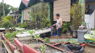 KENANGAN BERKEBUN BERSAMA SUAMIKU |  MEMORIES OF GARDENING WITH MY HUSBAND |  AL-FATIHAH