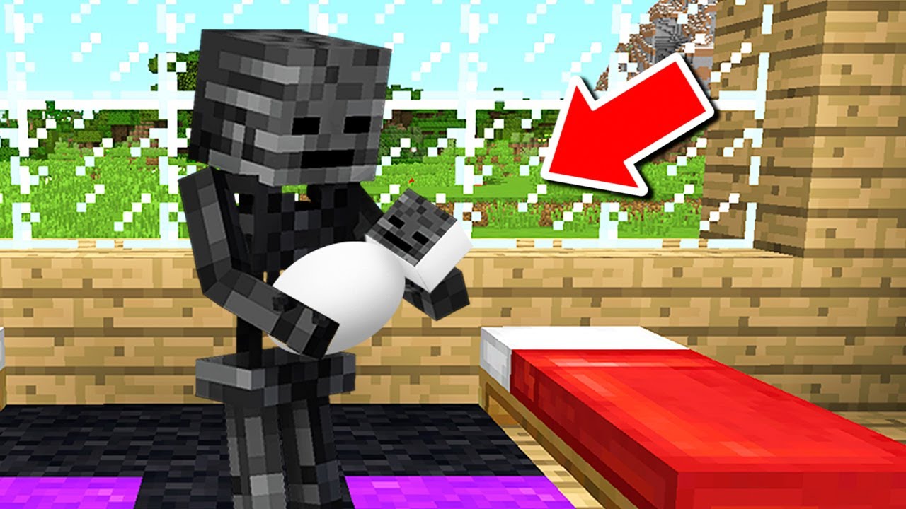 1分ごとにmobに変身して鬼ごっこした結果 まいくら マインクラフト 的youtube视频效果分析报告 Noxinfluencer