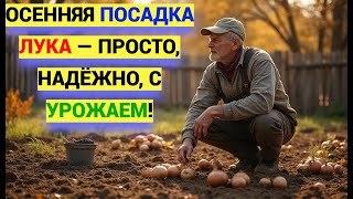 картинка: ЛУК под ЗИМУ: секрет осенней посадки для рекордного урожая!