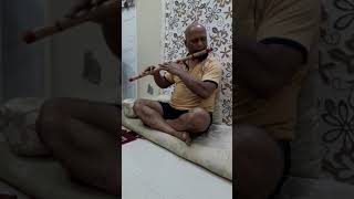Gayatri Mantra Instrumental