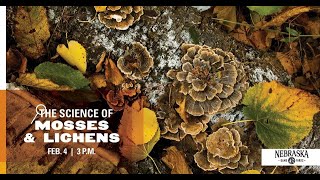 Famous Science of...Mosses & Lichens Wealth