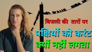 बिजली की तारों पर बैठे पक्षियों को करंट क्यों नहीं लगता । electricity facts in hindi