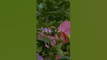🌿 تلاوة من سورة الانعام 🌿 القارئ محمد ايوب #محمد_ايوب
