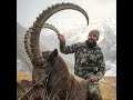 Hunt for Ibex in Kyrgyzstan 2019