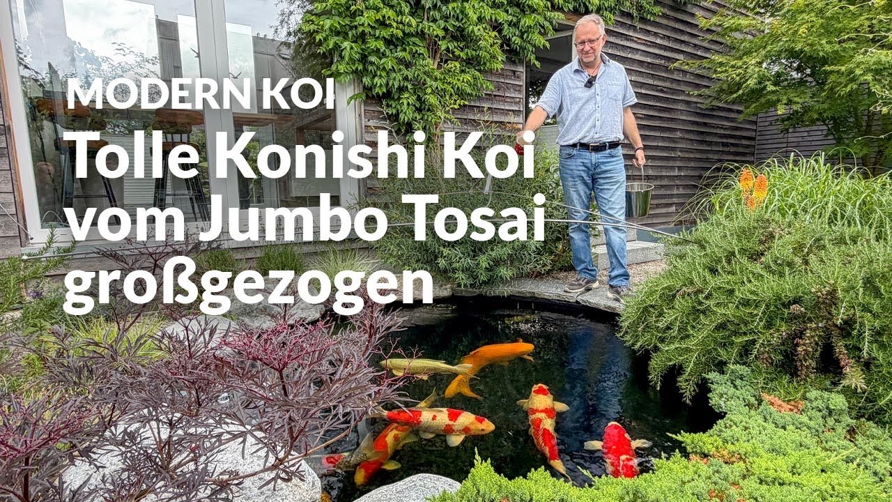 Alex Mitterhofers Genesis Rundteich mit Bürstenfilter | Modern Koi Blog #8173