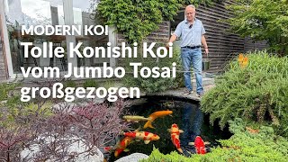 Alex Mitterhofers Genesis Rundteich mit Bürstenfilter | Modern Koi Blog #8173