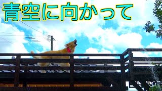 お気に入りの場所で水遊びを満喫！！