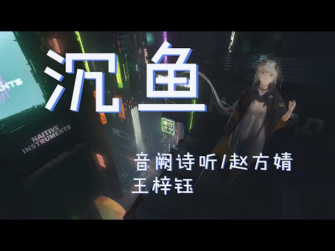 音阙诗听/赵方婧/王梓钰 - 沉鱼 『那时你过我的梦满身风尘于花灯口的相逢』【动态歌词Lyrics】【中国风】高清音质