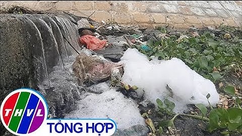 THVL | Cá chết bốc mùi nồng nặc, người Đà Nẵng đóng kín cửa nhà