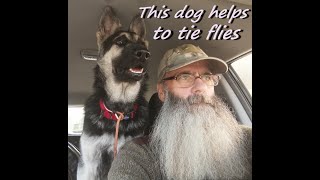 How your dog can help you to tie great flies..