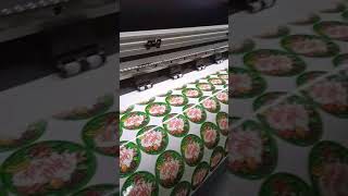 Stiker Transparan Premium 6x6
