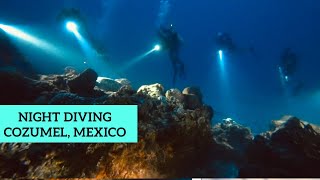 Night SCUBA diving in Cozumel, Mexico 2023. Excursion on the island of Cozumel. by Ana Way 183 views 8 months ago 6 minutes, 49 seconds