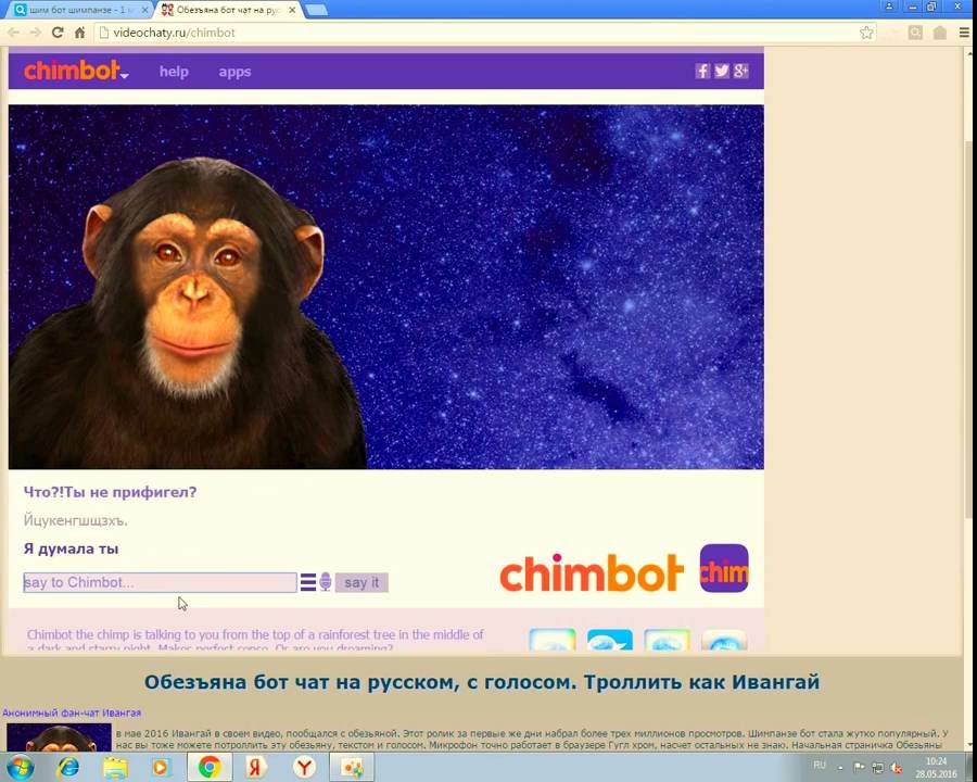 Monkey chat