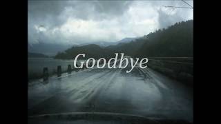 Goodbye / Patty Griffin (Cover)