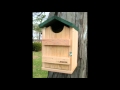 Bird house kits for kids Bird house kits for kids
