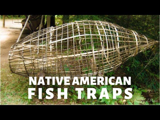 How Native Americans Used Fish Traps To Hunt 