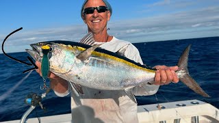 Catching GIANT tuna on POPPERS!! Catch clean cook