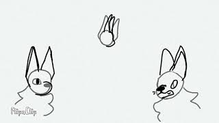 Random cat animation || practice